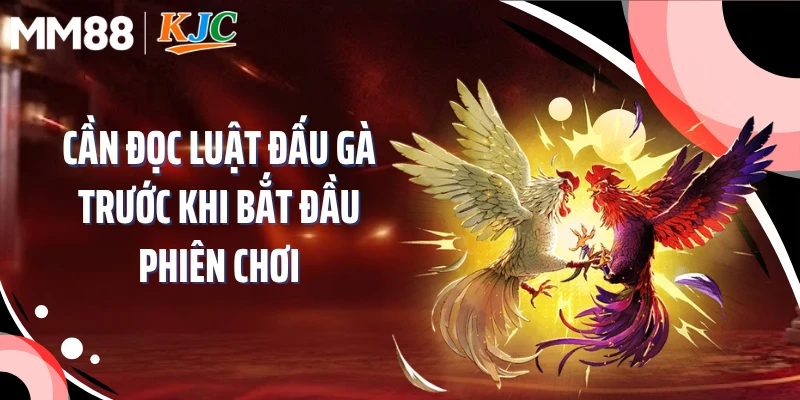 Cần đọc luật đấu gà trước khi bắt đầu phiên chơi