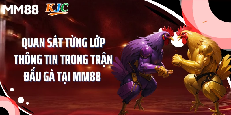 Quan sát từng lớp thông tin trong trận đấu gà tại MM88 
